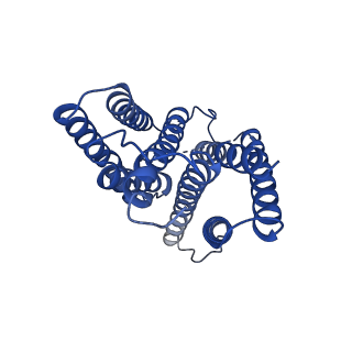 15691_8aw5_A_v1-0
Cryo-EM structure of heme A synthase trimer from Aquifex aeolicus