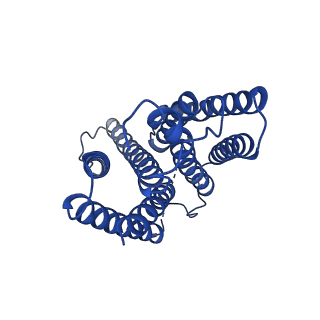 15691_8aw5_B_v1-0
Cryo-EM structure of heme A synthase trimer from Aquifex aeolicus