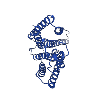 15691_8aw5_C_v1-0
Cryo-EM structure of heme A synthase trimer from Aquifex aeolicus