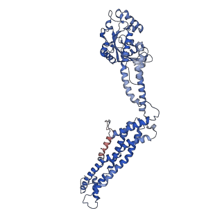 11932_7ax3_A2_v1-0
CryoEM structure of the super-constricted two-start dynamin 1 filament