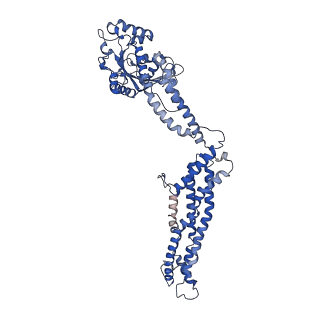 11932_7ax3_A_v1-0
CryoEM structure of the super-constricted two-start dynamin 1 filament