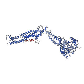 11932_7ax3_B2_v1-0
CryoEM structure of the super-constricted two-start dynamin 1 filament
