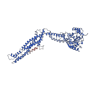 11932_7ax3_B_v1-0
CryoEM structure of the super-constricted two-start dynamin 1 filament