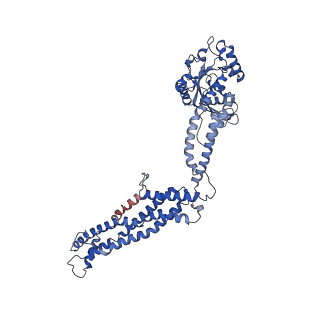 11932_7ax3_C2_v1-0
CryoEM structure of the super-constricted two-start dynamin 1 filament