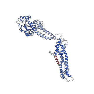 11932_7ax3_C_v1-0
CryoEM structure of the super-constricted two-start dynamin 1 filament