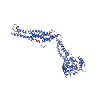 11932_7ax3_D2_v1-0
CryoEM structure of the super-constricted two-start dynamin 1 filament