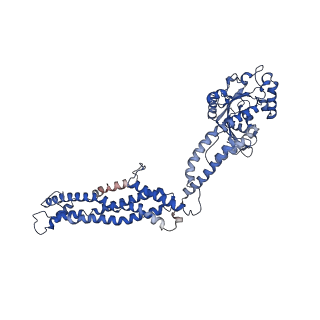 11932_7ax3_E_v1-0
CryoEM structure of the super-constricted two-start dynamin 1 filament