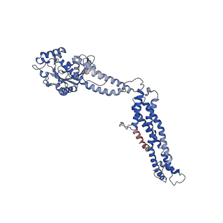11932_7ax3_F2_v1-0
CryoEM structure of the super-constricted two-start dynamin 1 filament