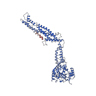 11932_7ax3_F_v1-0
CryoEM structure of the super-constricted two-start dynamin 1 filament