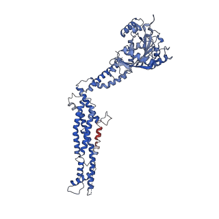 11932_7ax3_G2_v1-0
CryoEM structure of the super-constricted two-start dynamin 1 filament