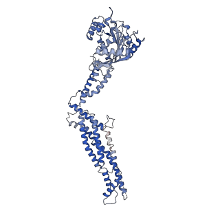 11932_7ax3_H2_v1-0
CryoEM structure of the super-constricted two-start dynamin 1 filament