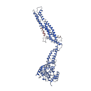 11932_7ax3_H_v1-0
CryoEM structure of the super-constricted two-start dynamin 1 filament