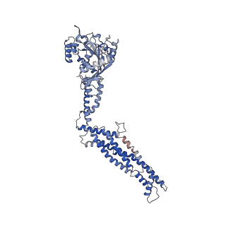 11932_7ax3_I2_v1-0
CryoEM structure of the super-constricted two-start dynamin 1 filament