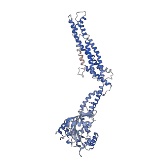 11932_7ax3_J2_v1-0
CryoEM structure of the super-constricted two-start dynamin 1 filament