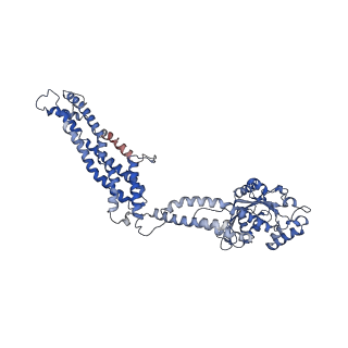 11932_7ax3_L_v1-0
CryoEM structure of the super-constricted two-start dynamin 1 filament