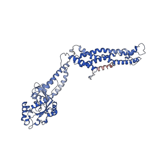 11932_7ax3_V_v1-0
CryoEM structure of the super-constricted two-start dynamin 1 filament