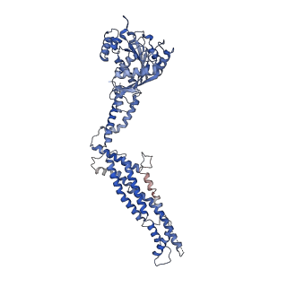 11932_7ax3_Y_v1-0
CryoEM structure of the super-constricted two-start dynamin 1 filament