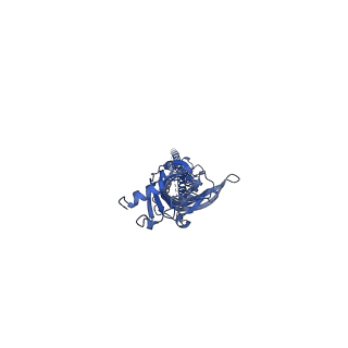 15699_8axd_A_v1-0
Human serotonin 5-HT3A receptor (apo, resting conformation)