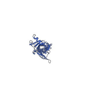 15699_8axd_B_v1-0
Human serotonin 5-HT3A receptor (apo, resting conformation)