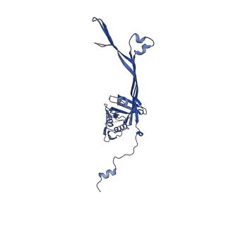 15701_8axl_F_v1-1
Outer membrane secretin pore of the type 3 secretion system of Shigella flexneri
