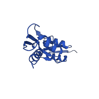 15702_8axn_0_v1-1
Inner membrane ring and secretin N0 N1 domains of the type 3 secretion system of Shigella flexneri
