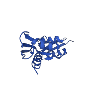 15702_8axn_1_v1-1
Inner membrane ring and secretin N0 N1 domains of the type 3 secretion system of Shigella flexneri