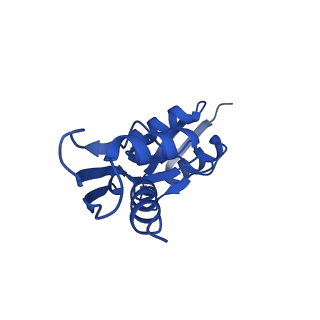 15702_8axn_2_v1-1
Inner membrane ring and secretin N0 N1 domains of the type 3 secretion system of Shigella flexneri