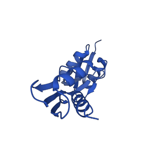 15702_8axn_3_v1-1
Inner membrane ring and secretin N0 N1 domains of the type 3 secretion system of Shigella flexneri