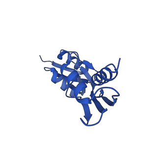 15702_8axn_7_v1-1
Inner membrane ring and secretin N0 N1 domains of the type 3 secretion system of Shigella flexneri