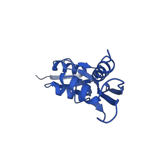 15702_8axn_8_v1-1
Inner membrane ring and secretin N0 N1 domains of the type 3 secretion system of Shigella flexneri