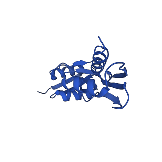 15702_8axn_9_v1-1
Inner membrane ring and secretin N0 N1 domains of the type 3 secretion system of Shigella flexneri