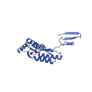15702_8axn_A_v1-1
Inner membrane ring and secretin N0 N1 domains of the type 3 secretion system of Shigella flexneri
