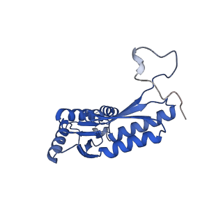 15702_8axn_C_v1-1
Inner membrane ring and secretin N0 N1 domains of the type 3 secretion system of Shigella flexneri