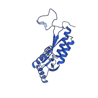 15702_8axn_F_v1-1
Inner membrane ring and secretin N0 N1 domains of the type 3 secretion system of Shigella flexneri