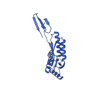 15702_8axn_H_v1-1
Inner membrane ring and secretin N0 N1 domains of the type 3 secretion system of Shigella flexneri