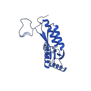 15702_8axn_I_v1-1
Inner membrane ring and secretin N0 N1 domains of the type 3 secretion system of Shigella flexneri