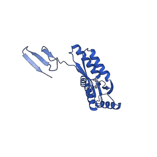15702_8axn_J_v1-1
Inner membrane ring and secretin N0 N1 domains of the type 3 secretion system of Shigella flexneri