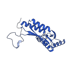 15702_8axn_L_v1-1
Inner membrane ring and secretin N0 N1 domains of the type 3 secretion system of Shigella flexneri