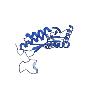 15702_8axn_O_v1-1
Inner membrane ring and secretin N0 N1 domains of the type 3 secretion system of Shigella flexneri