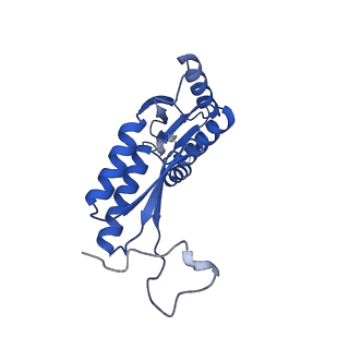 15702_8axn_R_v1-1
Inner membrane ring and secretin N0 N1 domains of the type 3 secretion system of Shigella flexneri