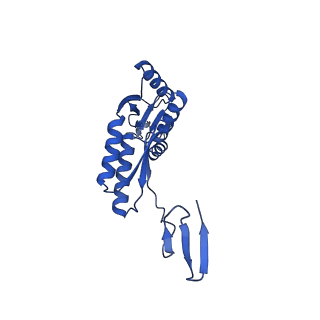15702_8axn_S_v1-1
Inner membrane ring and secretin N0 N1 domains of the type 3 secretion system of Shigella flexneri