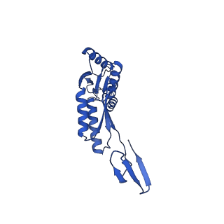 15702_8axn_T_v1-1
Inner membrane ring and secretin N0 N1 domains of the type 3 secretion system of Shigella flexneri