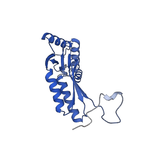 15702_8axn_X_v1-1
Inner membrane ring and secretin N0 N1 domains of the type 3 secretion system of Shigella flexneri