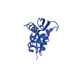 15702_8axn_Y_v1-1
Inner membrane ring and secretin N0 N1 domains of the type 3 secretion system of Shigella flexneri