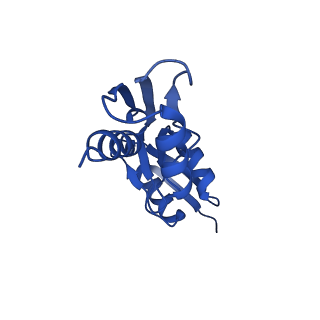 15702_8axn_Z_v1-1
Inner membrane ring and secretin N0 N1 domains of the type 3 secretion system of Shigella flexneri