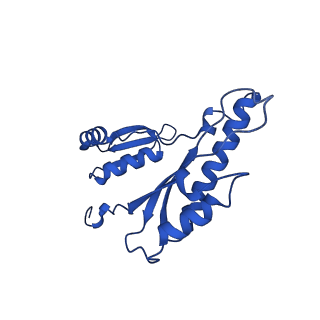 15702_8axn_a_v1-1
Inner membrane ring and secretin N0 N1 domains of the type 3 secretion system of Shigella flexneri