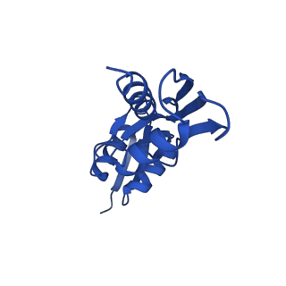 15702_8axn_b0_v1-1
Inner membrane ring and secretin N0 N1 domains of the type 3 secretion system of Shigella flexneri