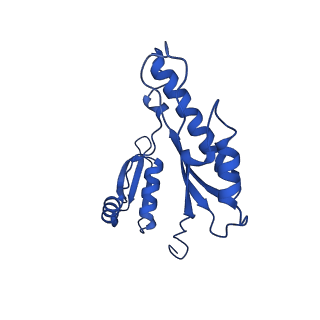 15702_8axn_c_v1-1
Inner membrane ring and secretin N0 N1 domains of the type 3 secretion system of Shigella flexneri