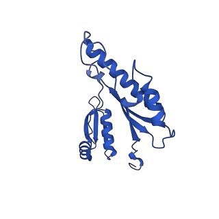 15702_8axn_d_v1-1
Inner membrane ring and secretin N0 N1 domains of the type 3 secretion system of Shigella flexneri