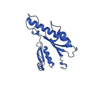 15702_8axn_e_v1-1
Inner membrane ring and secretin N0 N1 domains of the type 3 secretion system of Shigella flexneri